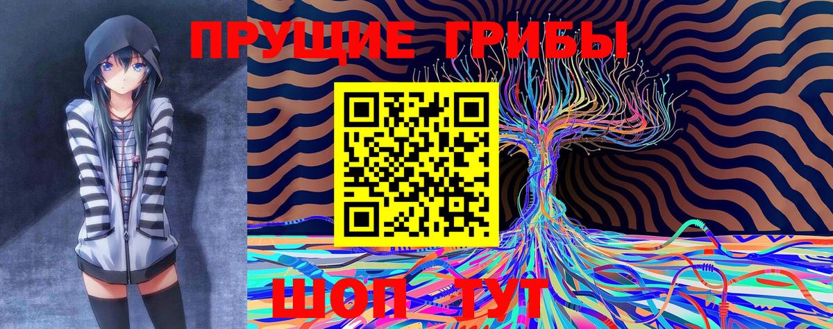 Артёмовский  Галлюциногенные грибы GOLDEN TEACHER  Вход с VPN  закладки  Псилоцибиновые грибы прущие грибы 