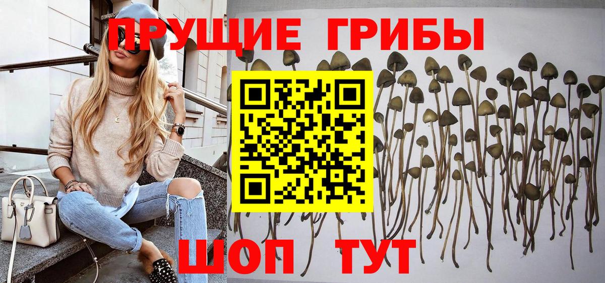 Галлюциногенные грибы Magic Shrooms Артёмовский