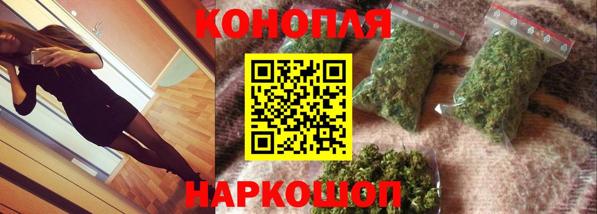 Бошки Шишки планчик Артёмовский